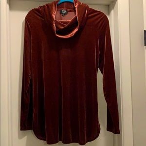 Velour Cowl Neck Tunic